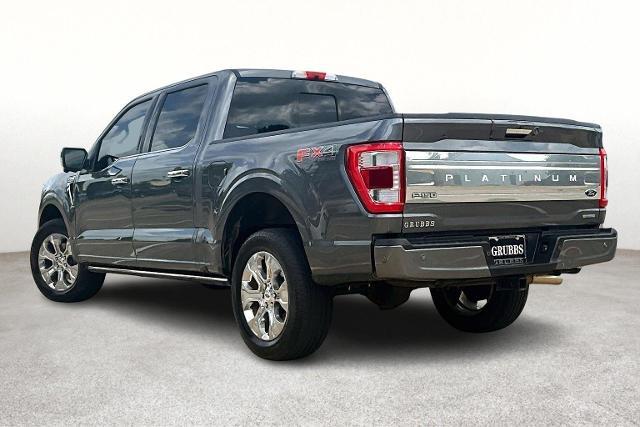 2023 Ford F-150 Vehicle Photo in San Antonio, TX 78230