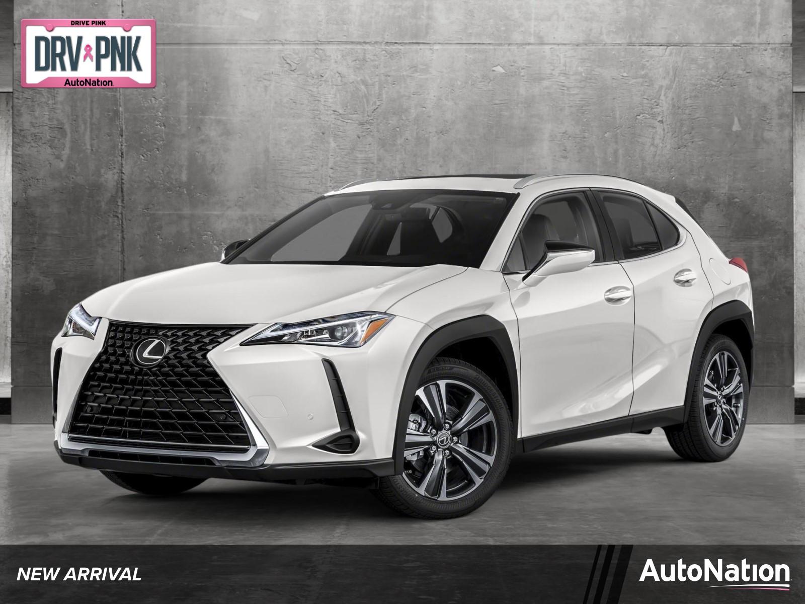 2022 Lexus UX 200 Vehicle Photo in Tampa, FL 33614