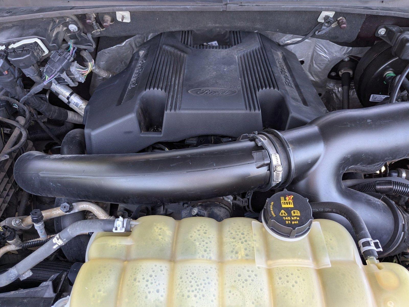 2019 Ford F-150 Vehicle Photo in Panama City, FL 32401
