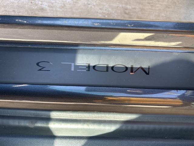 2021 Tesla Model 3 Vehicle Photo in San Antonio, TX 78230