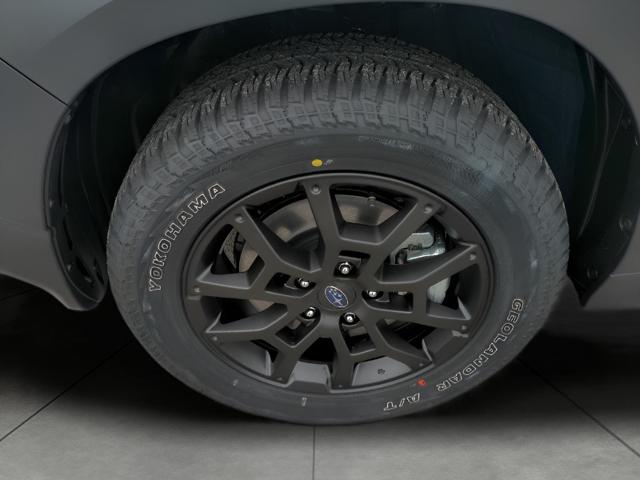 2025 Subaru Crosstrek Vehicle Photo in Green Bay, WI 54304