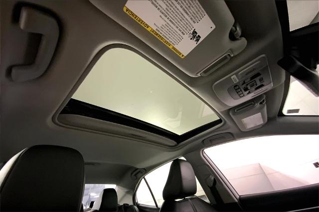 2022 Toyota Camry Vehicle Photo in Lees Summit, MO 64086