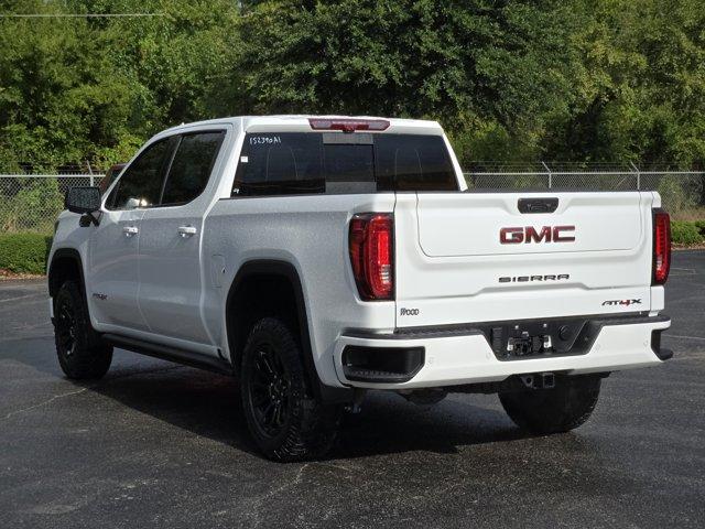 2023 GMC Sierra 1500 Vehicle Photo in Decatur, TX 76234