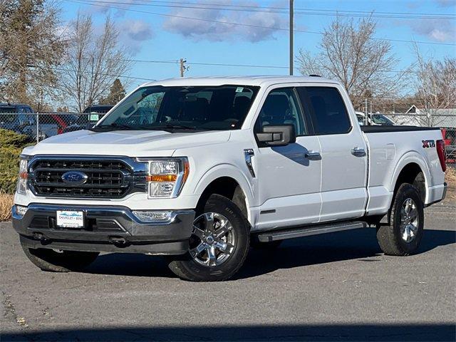 2023 Ford F-150 Vehicle Photo in BEND, OR 97701-5133