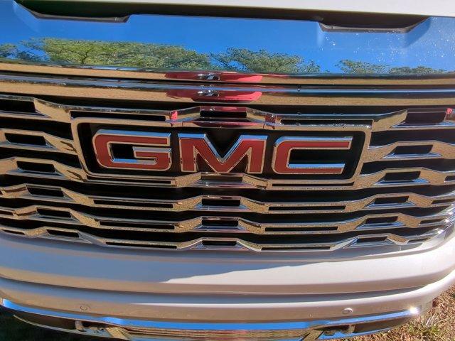 2025 GMC Sierra 1500 Vehicle Photo in ALBERTVILLE, AL 35950-0246