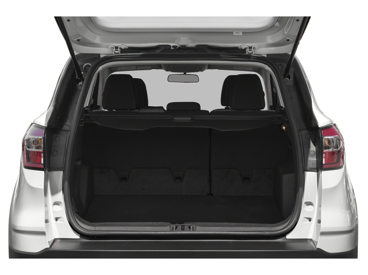 2019 Ford Escape Vehicle Photo in Green Bay, WI 54304