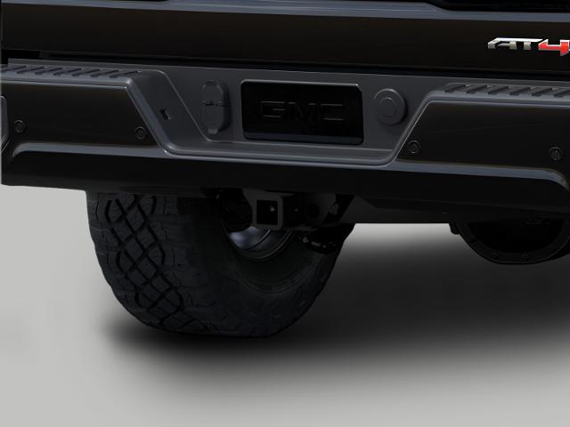 2025 GMC Sierra 1500 Vehicle Photo in APPLETON, WI 54914-8833