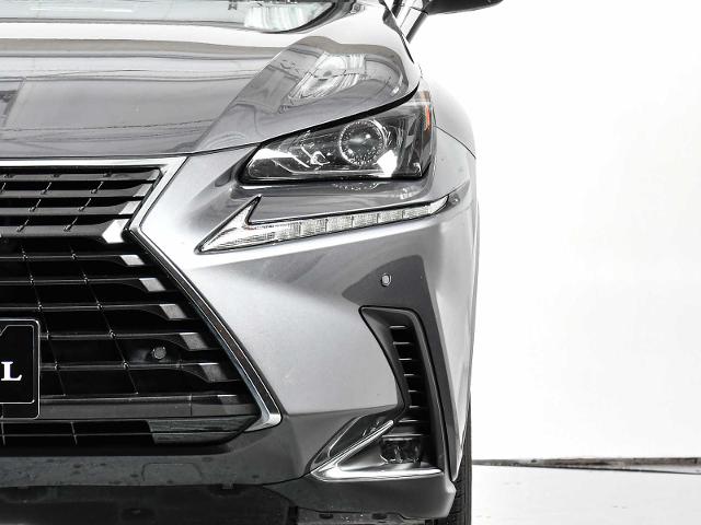2020 Lexus NX 300 Vehicle Photo in DALLAS, TX 75235