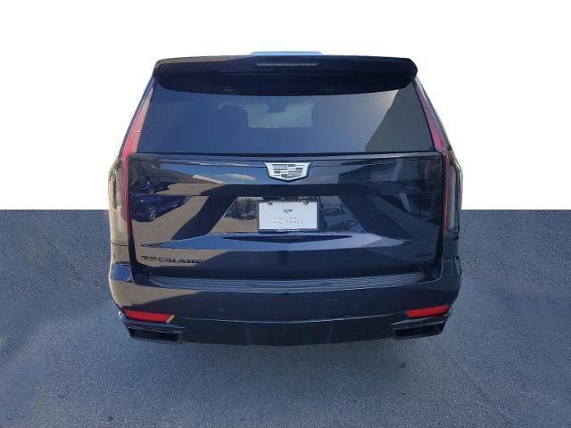 2023 Cadillac Escalade Vehicle Photo in POMPANO BEACH, FL 33064-7091