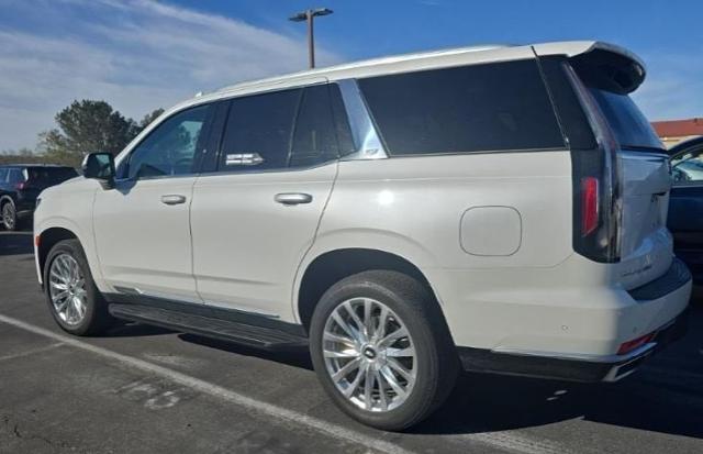2023 Cadillac Escalade Vehicle Photo in San Antonio, TX 78230
