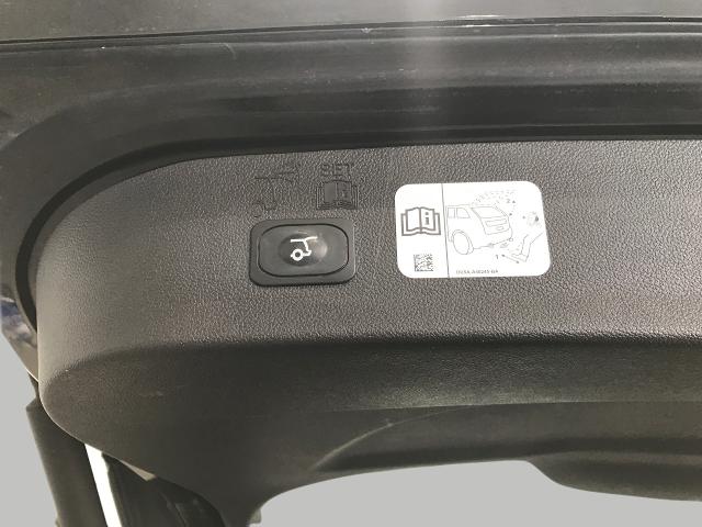 2019 Ford Escape Vehicle Photo in GREEN BAY, WI 54303-3330