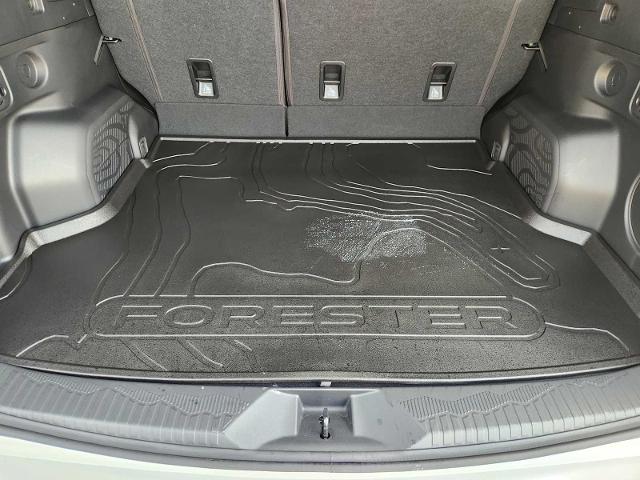 2025 Subaru Forester Vehicle Photo in DALLAS, TX 75209