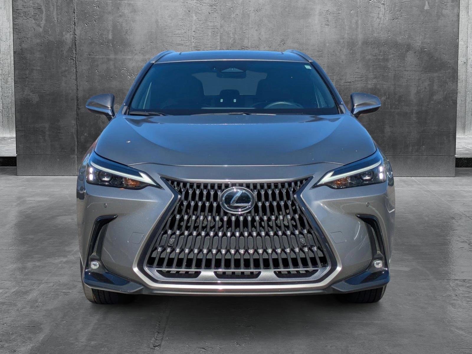 2024 Lexus NX 250 Vehicle Photo in Clearwater, FL 33761