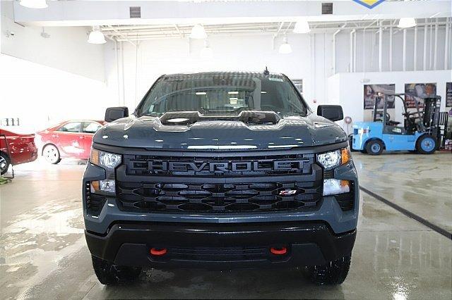 2025 Chevrolet Silverado 1500 Vehicle Photo in MEDINA, OH 44256-9001