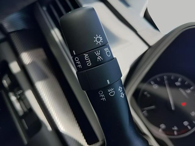 2025 Subaru Crosstrek Vehicle Photo in Green Bay, WI 54304