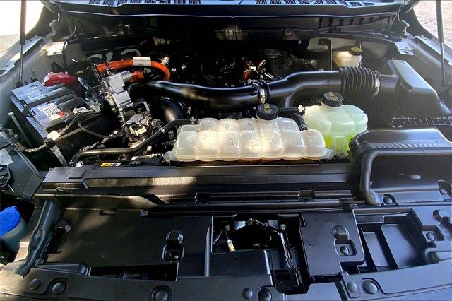 2024 Ford F-150 Vehicle Photo in KANSAS CITY, MO 64114-4545