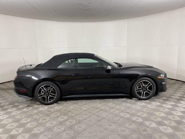 2022 Ford Mustang Vehicle Photo in PHOENIX, AZ 85014-3381