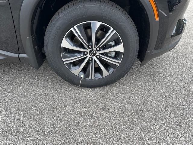 2024 INFINITI QX60 Vehicle Photo in San Antonio, TX 78230