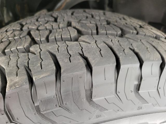 2019 Ford F-150 Vehicle Photo in APPLETON, WI 54914-4656
