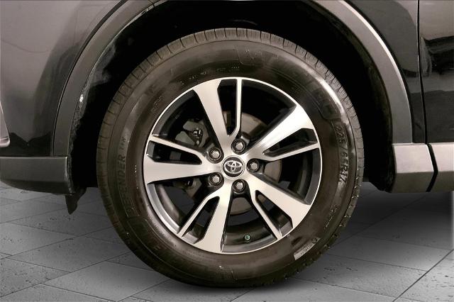 2017 Toyota RAV4 Vehicle Photo in Lees Summit, MO 64086