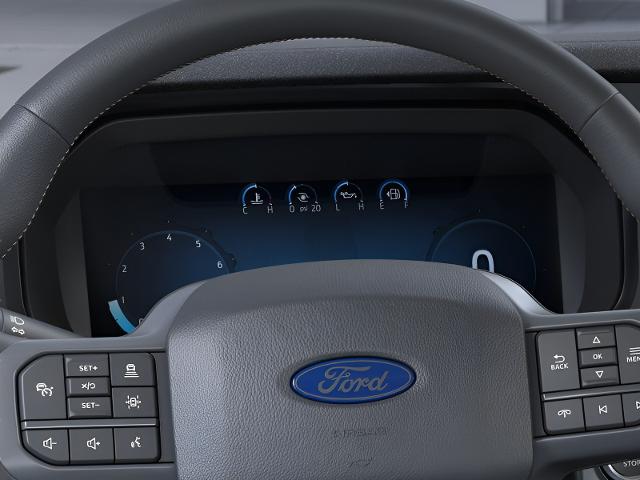 2025 Ford F-150 Vehicle Photo in Neenah, WI 54956