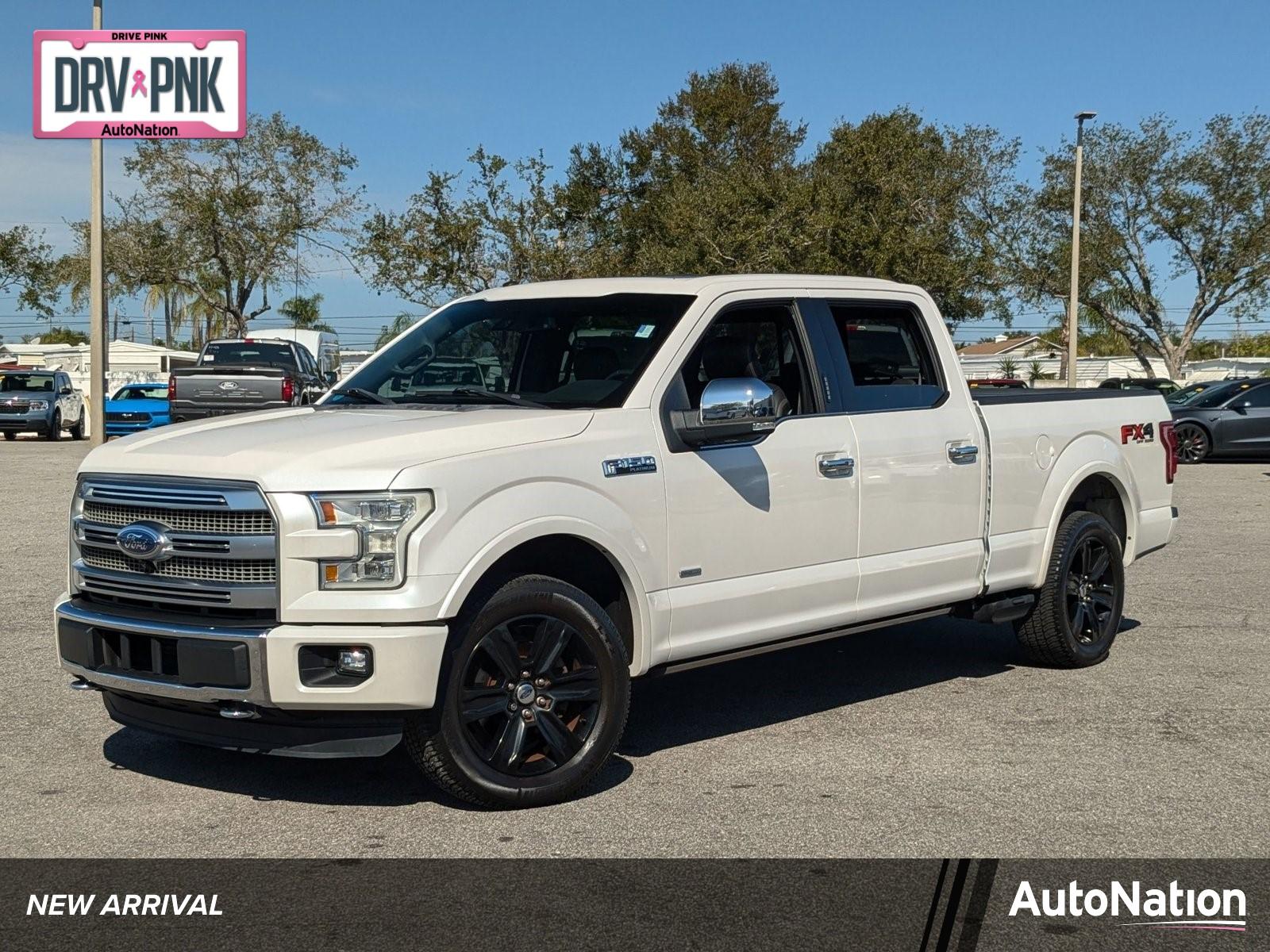 2016 Ford F-150 Vehicle Photo in St. Petersburg, FL 33713