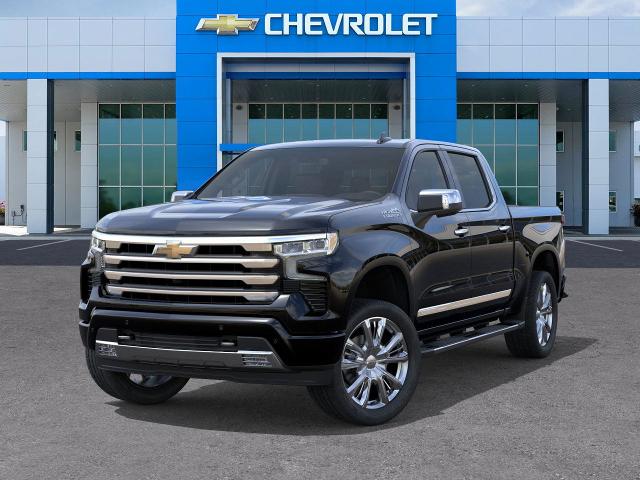 2025 Chevrolet Silverado 1500 Vehicle Photo in SELMA, TX 78154-1460