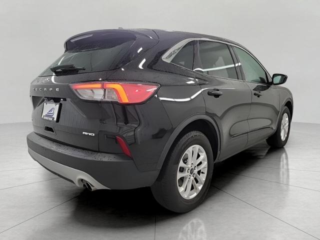 2022 Ford Escape Vehicle Photo in Oshkosh, WI 54904