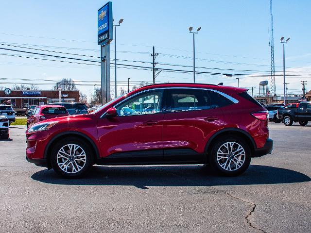 2020 Ford Escape Vehicle Photo in MADISON, IN 47250-1611