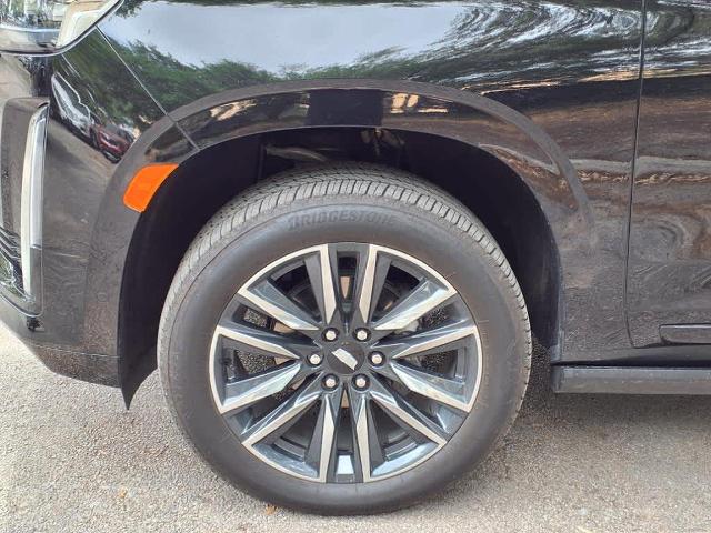 2024 Cadillac Escalade Vehicle Photo in San Antonio, TX 78230-1001