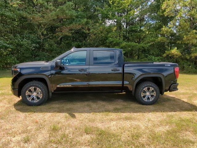 2024 GMC Sierra 1500 Vehicle Photo in ALBERTVILLE, AL 35950-0246