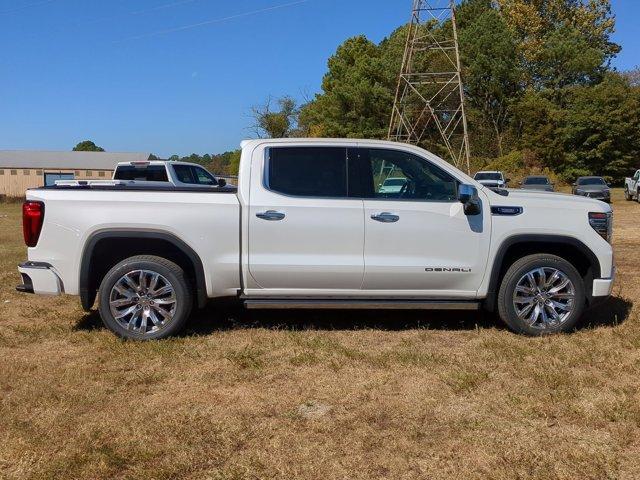 2025 GMC Sierra 1500 Vehicle Photo in ALBERTVILLE, AL 35950-0246