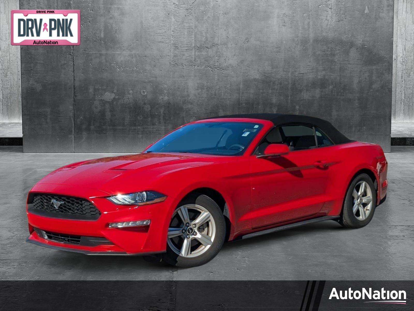 2019 Ford Mustang Vehicle Photo in St. Petersburg, FL 33713