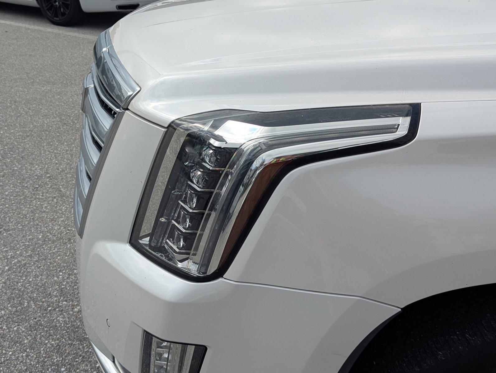 2019 Cadillac Escalade Vehicle Photo in Delray Beach, FL 33444