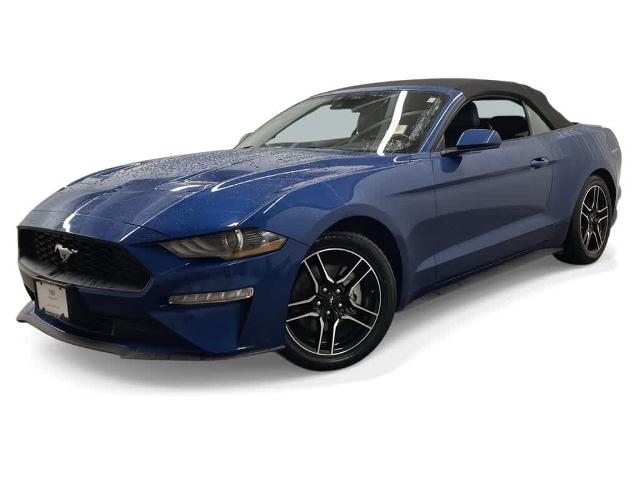 2022 Ford Mustang Vehicle Photo in PORTLAND, OR 97225-3518