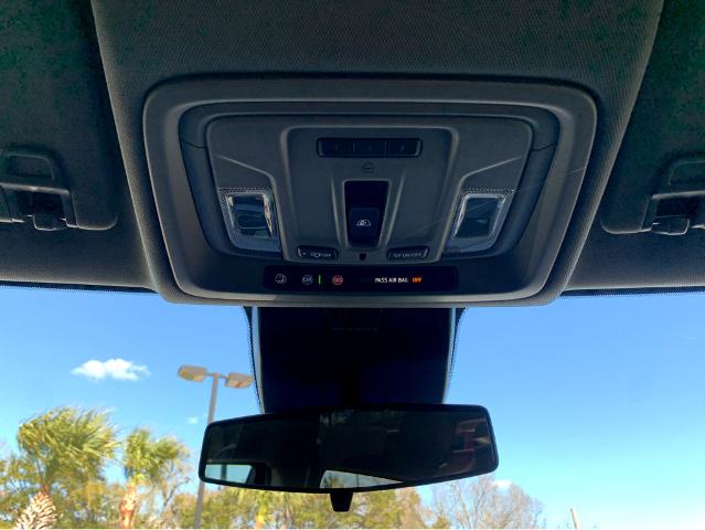 2025 GMC Sierra 1500 Vehicle Photo in BEAUFORT, SC 29906-4218