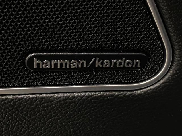 2019 Maserati Levante Vehicle Photo in Appleton, WI 54913