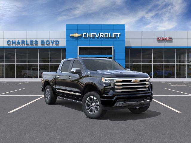 2025 Chevrolet Silverado 1500 Vehicle Photo in HENDERSON, NC 27536-2966