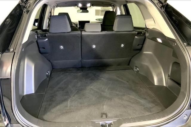 2023 Toyota RAV4 Vehicle Photo in Lees Summit, MO 64086