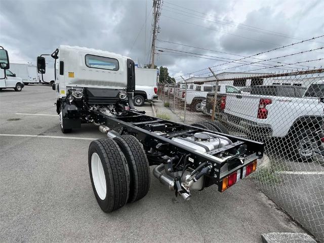 2025 Chevrolet Low Cab Forward 4500 Vehicle Photo in ALCOA, TN 37701-3235