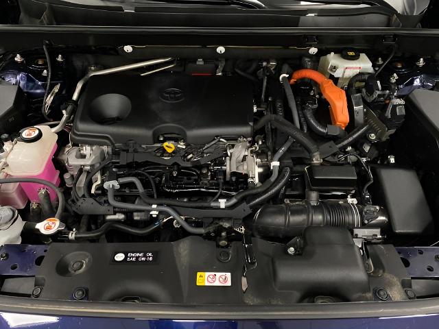 2019 Toyota RAV4 Vehicle Photo in Appleton, WI 54913