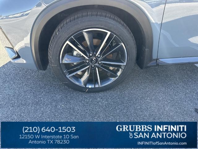 2024 INFINITI QX50 Vehicle Photo in San Antonio, TX 78230