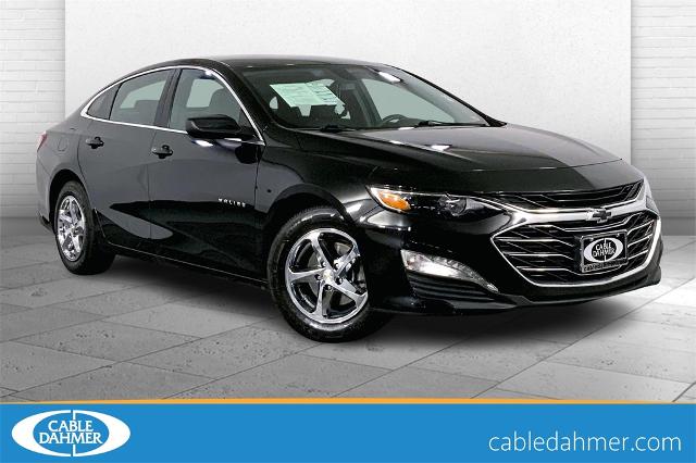 2019 Chevrolet Malibu Vehicle Photo in Lees Summit, MO 64086