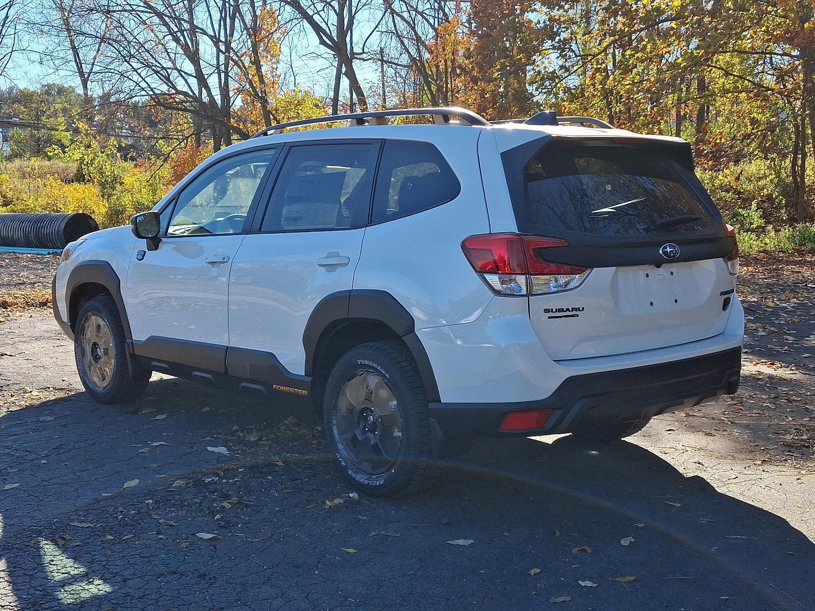 2024 Subaru Forester Vehicle Photo in Mechanicsburg, PA 17050