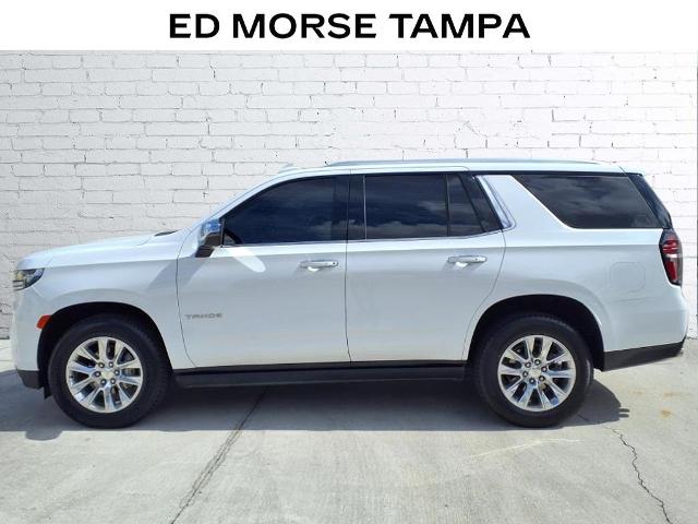 2022 Chevrolet Tahoe Vehicle Photo in Tampa, FL 33612
