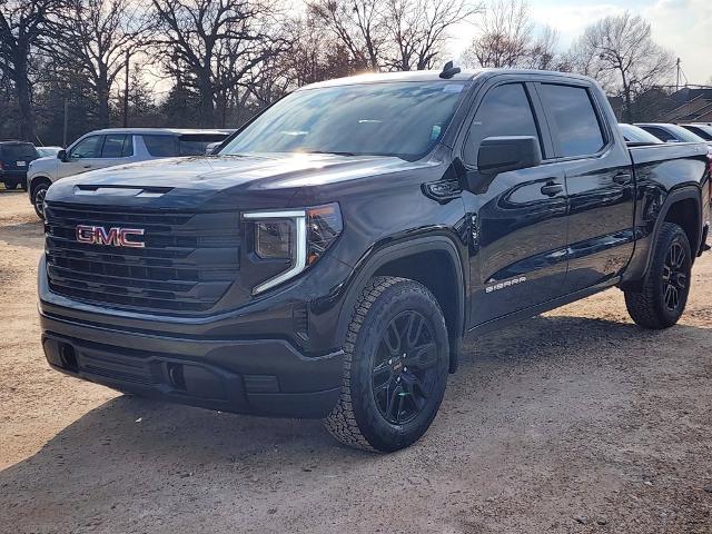 2025 GMC Sierra 1500 Vehicle Photo in PARIS, TX 75460-2116