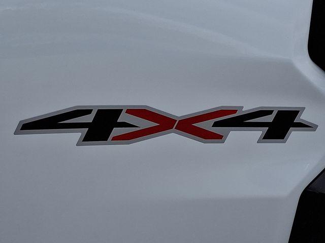 2024 Chevrolet Colorado Vehicle Photo in PAWLING, NY 12564-3219
