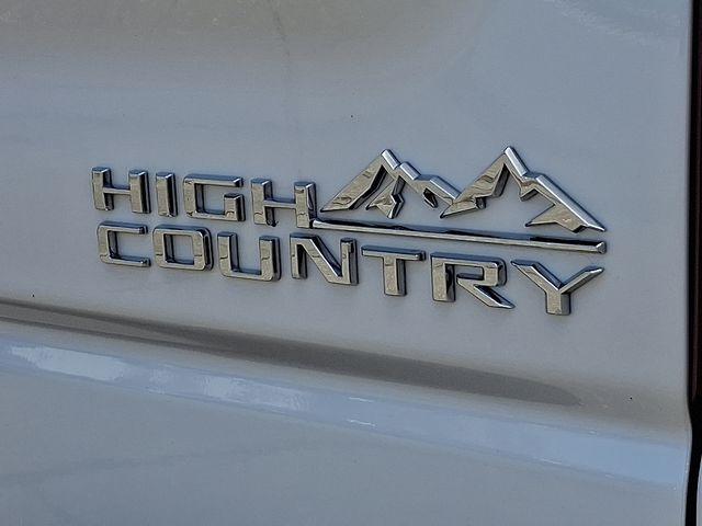 2024 Chevrolet Silverado 1500 Vehicle Photo in DANBURY, CT 06810-5034