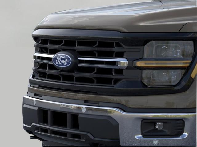 2025 Ford F-150 Vehicle Photo in Oshkosh, WI 54901