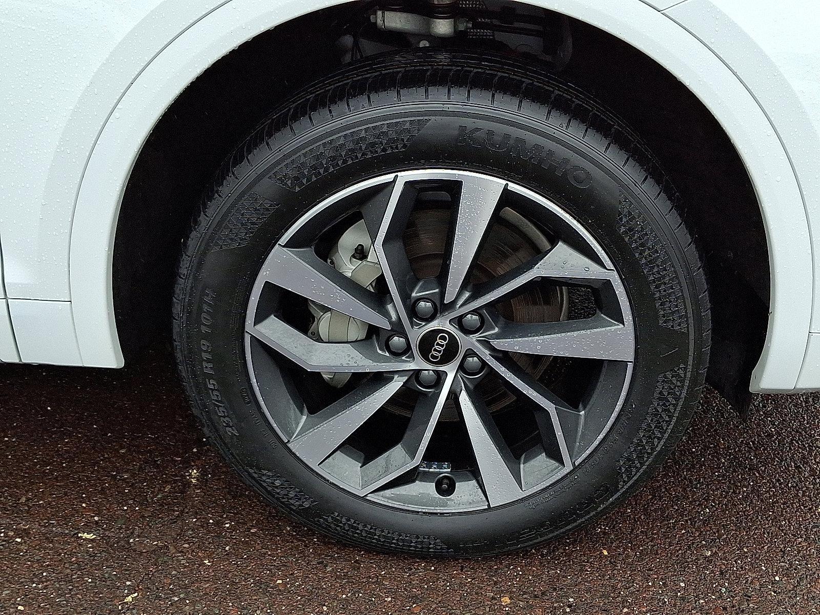 2024 Audi Q5 Vehicle Photo in Willow Grove, PA 19090